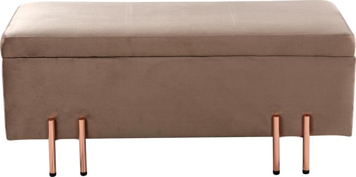 Produktbild En.Casa Sitztruhe Dals Samt 100x40x42 cm Braun (100 cm)