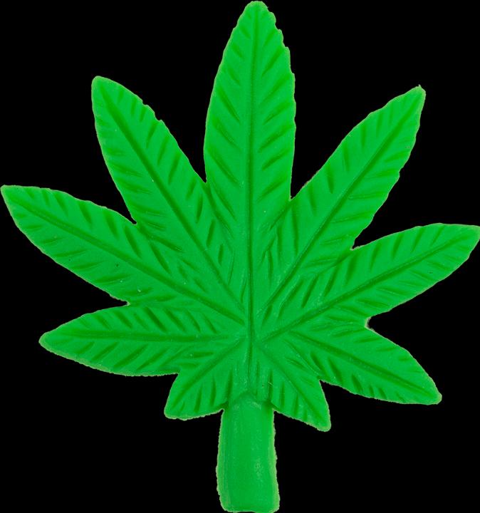 Immagine prodotto Out of the blue Coltivare foglie di cannabis