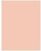Image du produit L'Oréal Paris Perfect Match (1-2R Rose Porcelaine)