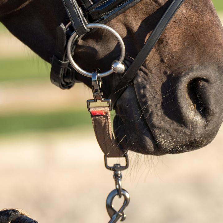 Produktbild Imperial Riding Gebissring für Nylon-Longe