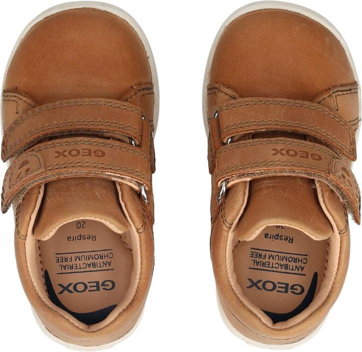 Actual product image Geox Sneaker (24)