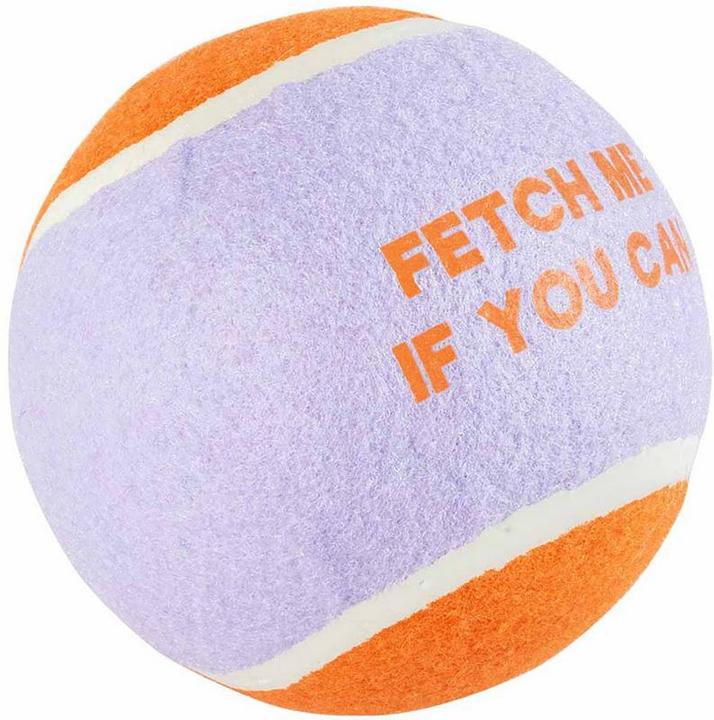 Immagine prodotto Coockoo Ball Fetch Me XL