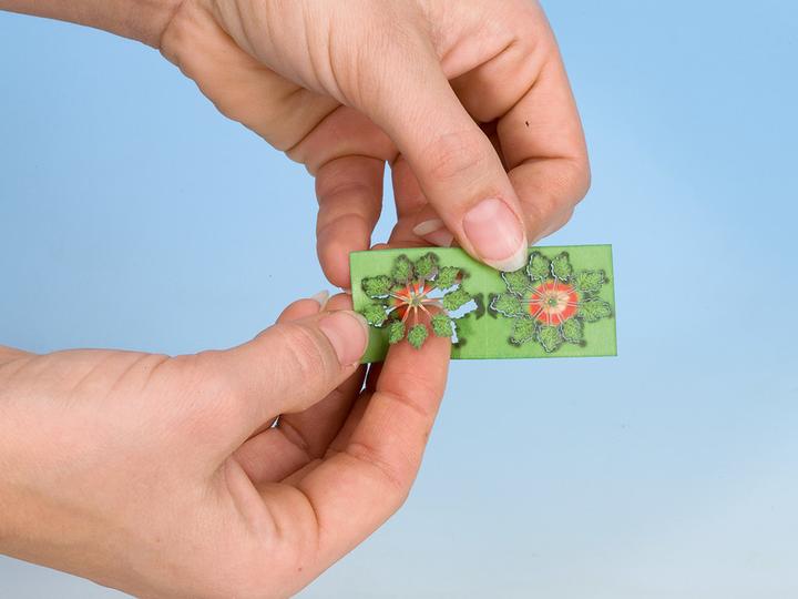 Produktbild Noch Laser-Cut minis® 14608 N Schil