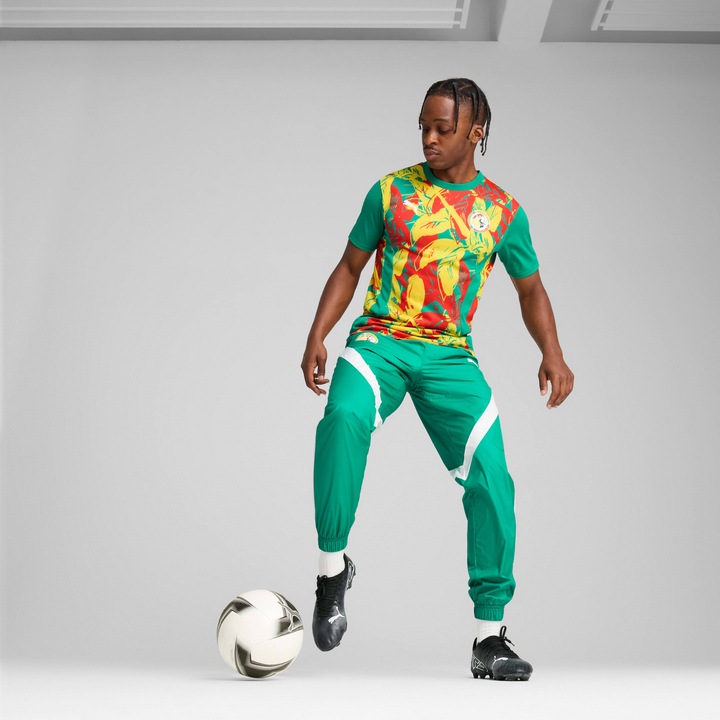Produktbild Puma voranstosstrikot sénéga 2024 (L)