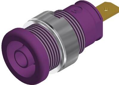 Actual product image SKS SEB 2610 F4.8 Safety laboratory socket Socket, vertical installation Pin-Ø: 4 mm Violet 1 pc.
