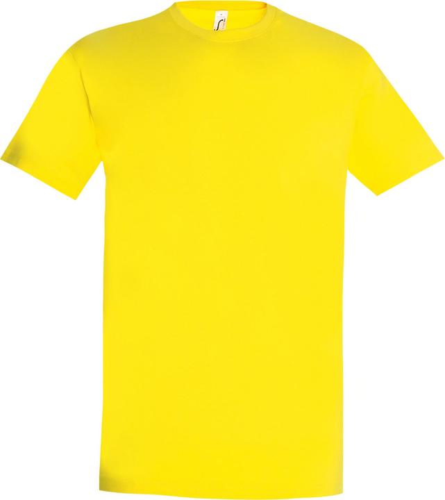 Image du produit Sols - T-shirt manches courtes IMPERIAL - Homme (3XL)