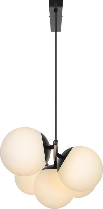 Image du produit Nordlux Pendelleuchte Lilly 5-spot Schwarz (E14)
