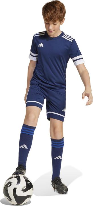 Produktbild adidas Squadra 25 Short Kids (176)
