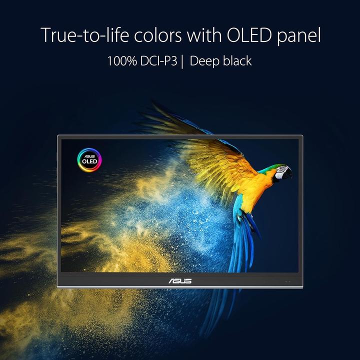 Actual product image ASUS ZenScreen OLED MQ16AHE (1920 x 1080 pixels, 15.60")