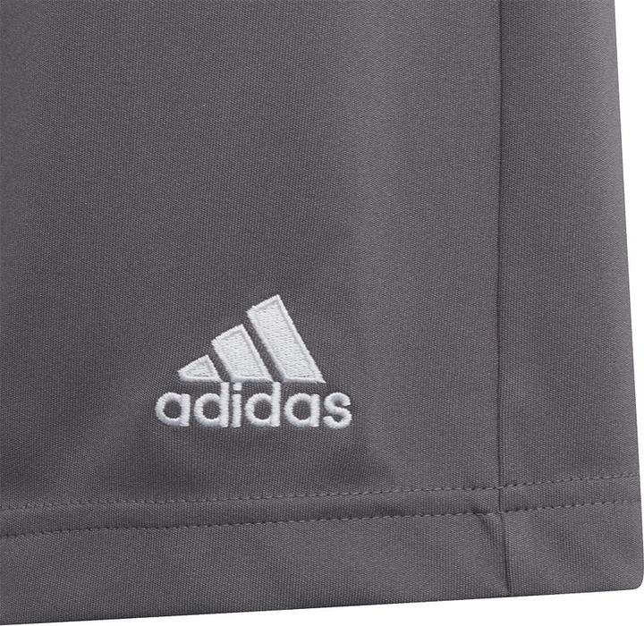 Actual product image adidas Entrada 22 Shorts (116)