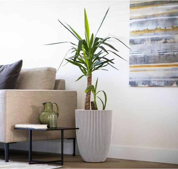 Produktbild Capi Tripp (46 x 58 cm)