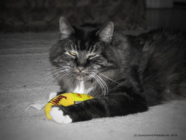 Actual product image Yeowww Banana 18cm filled with catnip (Catmint toy)