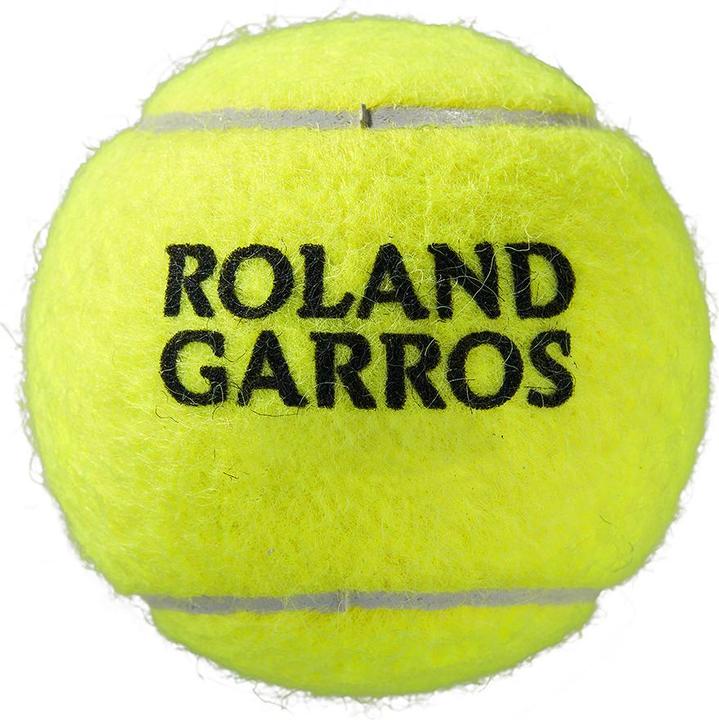 Produktbild Wilson Roland Garos All Court 4