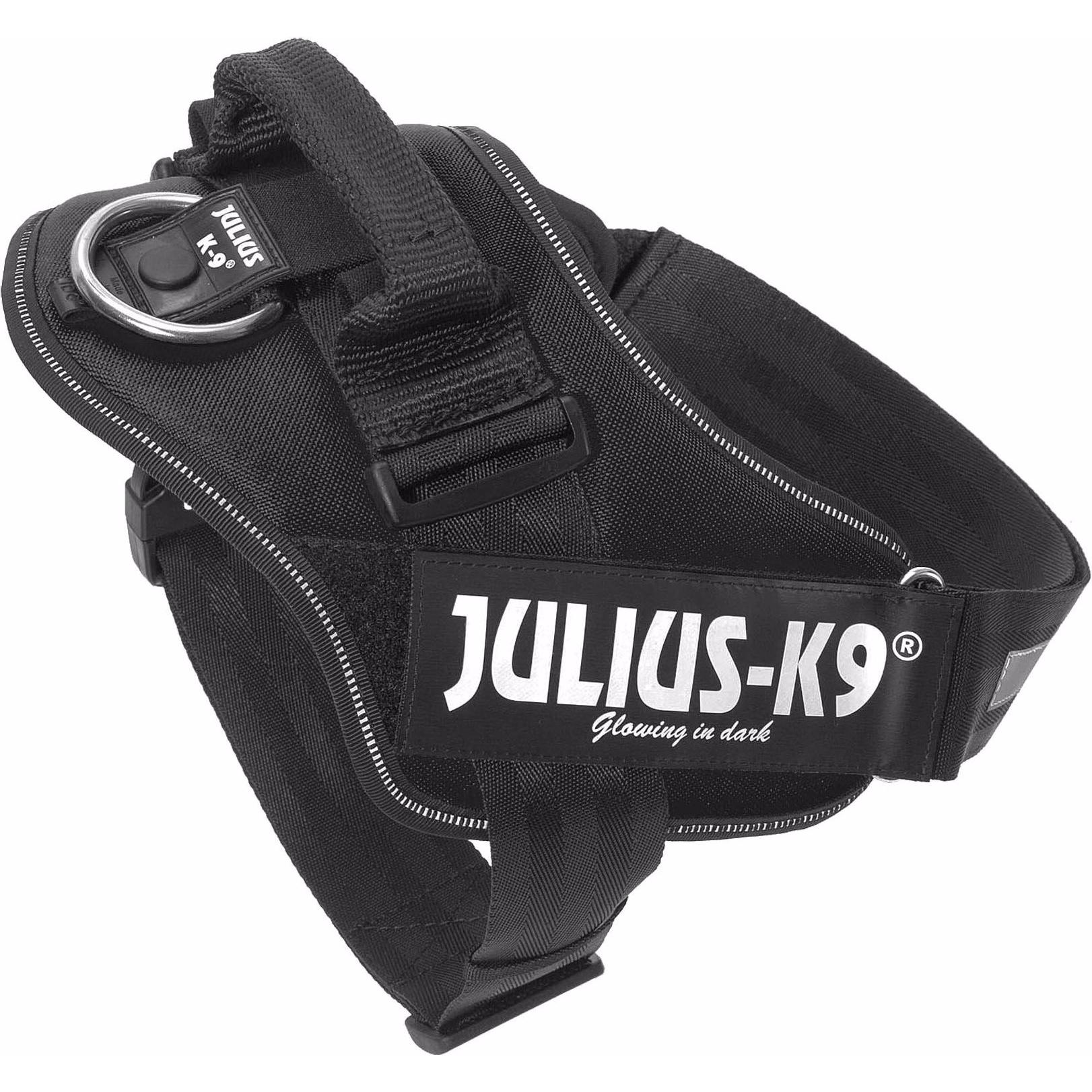 Julius-K9 IDC Powergschirr (L, Hund, Allgemein), Halsband + Leine