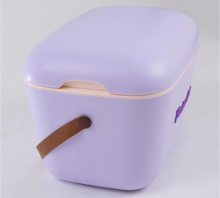 Actual product image Polarbox Retro (20 l)