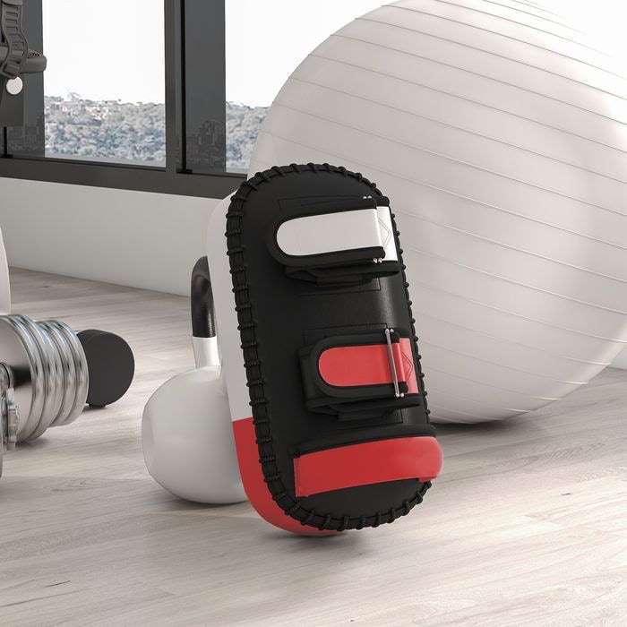 Actual product image Swisshandel24 Kickboxing kick pads for Muay Thai boxing pads Trainer pads Punch pads for coaching, tr (38 cm, 0.40 kg)
