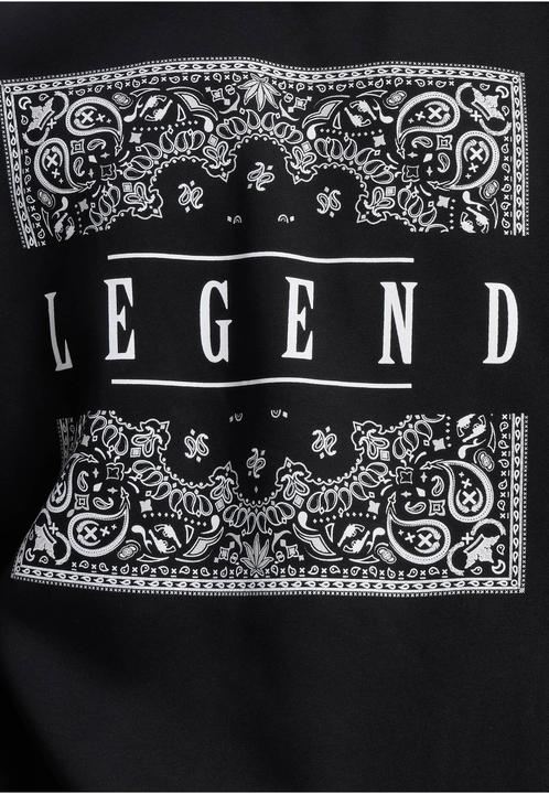 Immagine prodotto Dangerous DNGRS DNGRS Legend Hoody - 187275 (S)