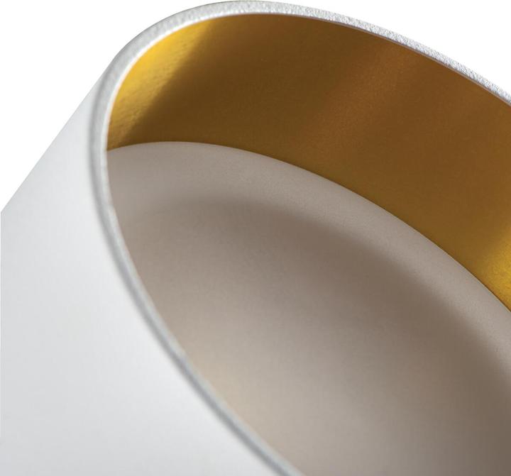 Produktbild Kanlux Govik-St (G5.3)