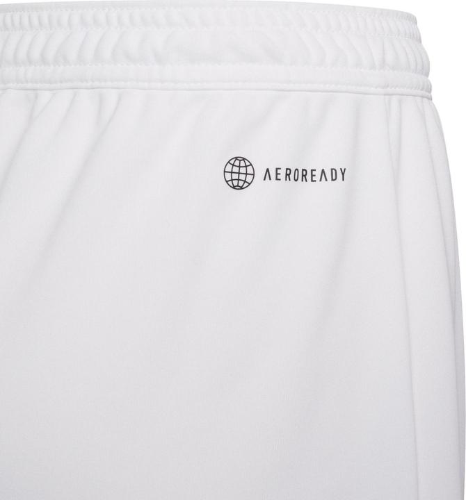 Actual product image adidas Entrada 22 Shorts (116)