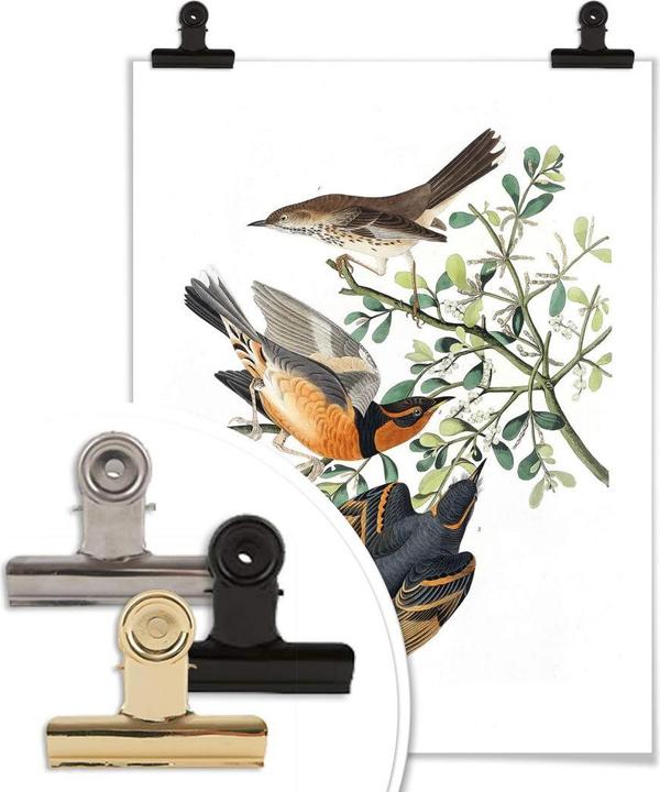 Immagine prodotto Trenddeko Tre strozzatori (40 x 50 cm)