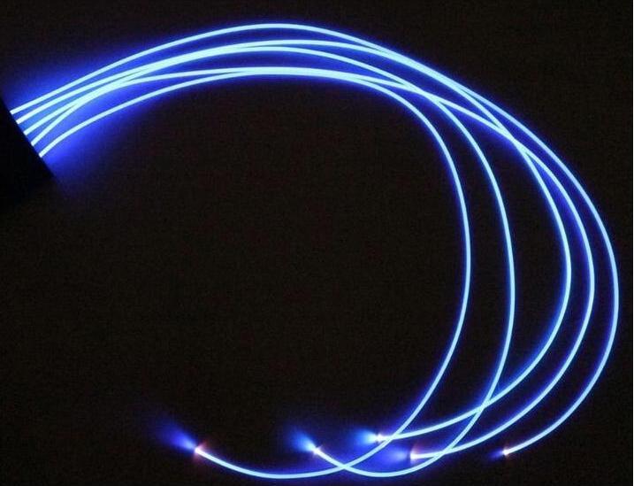 Produktbild Animal Light LED Schweifbeleuchtung Long 20