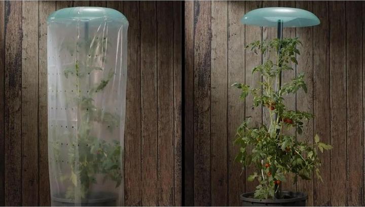 Image du produit Neogard Kit complet maison à tomates