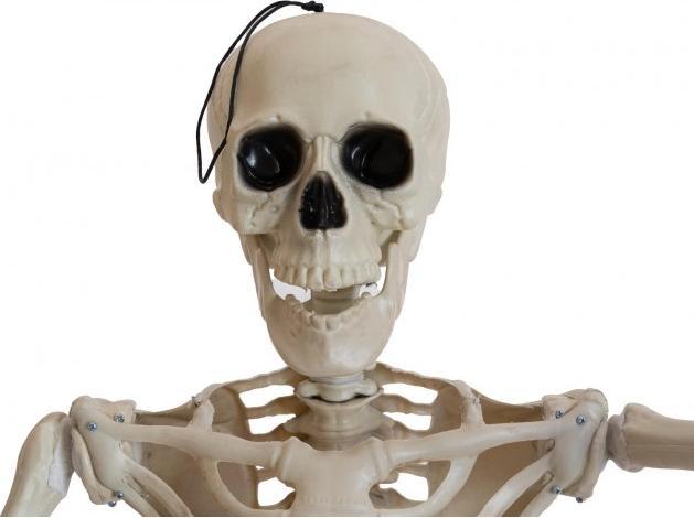 Productafbeelding Europalms Halloween skelet, staand, 150 cm