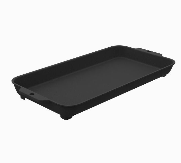 Actual product image Biolite Firepit Griddle