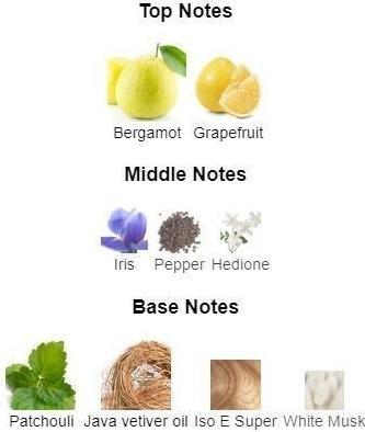 Immagine prodotto Ameer Al Oud Jacques Yves Tempete per Uomo (Eau de parfum, 100 ml)