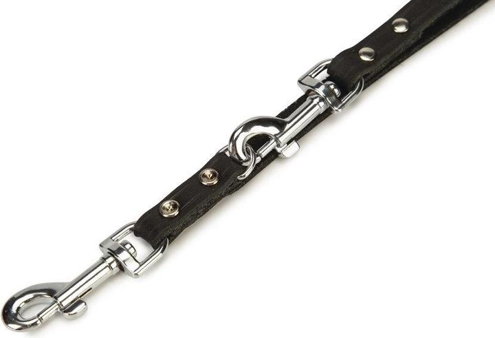 Actual product image Beeztees Dog leash (Dog)