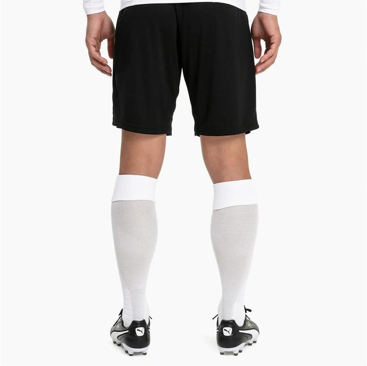 Actual product image Puma Team LIGA Socks-703438 (35 - 38)