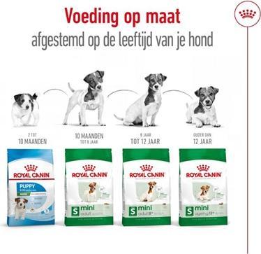 Produktbild Royal Canin Mini Adult - 4 Kg (Adult, 4000 g)