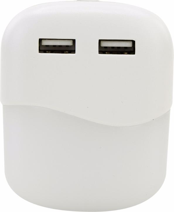 Actual product image Ansmann NL15AC + 2USB