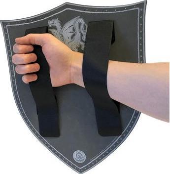 Produktbild Liontouch Schild Bernsteindrachen