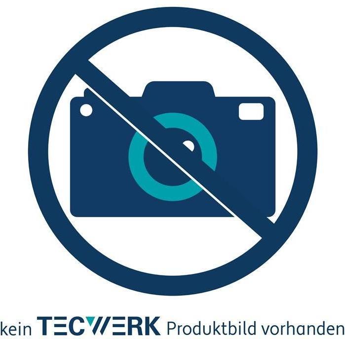 Actual product image Tecwerk Wasserwaage (100 cm)