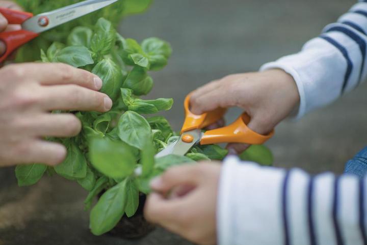 Image du produit Fiskars CREA 1075033 (21 cm)