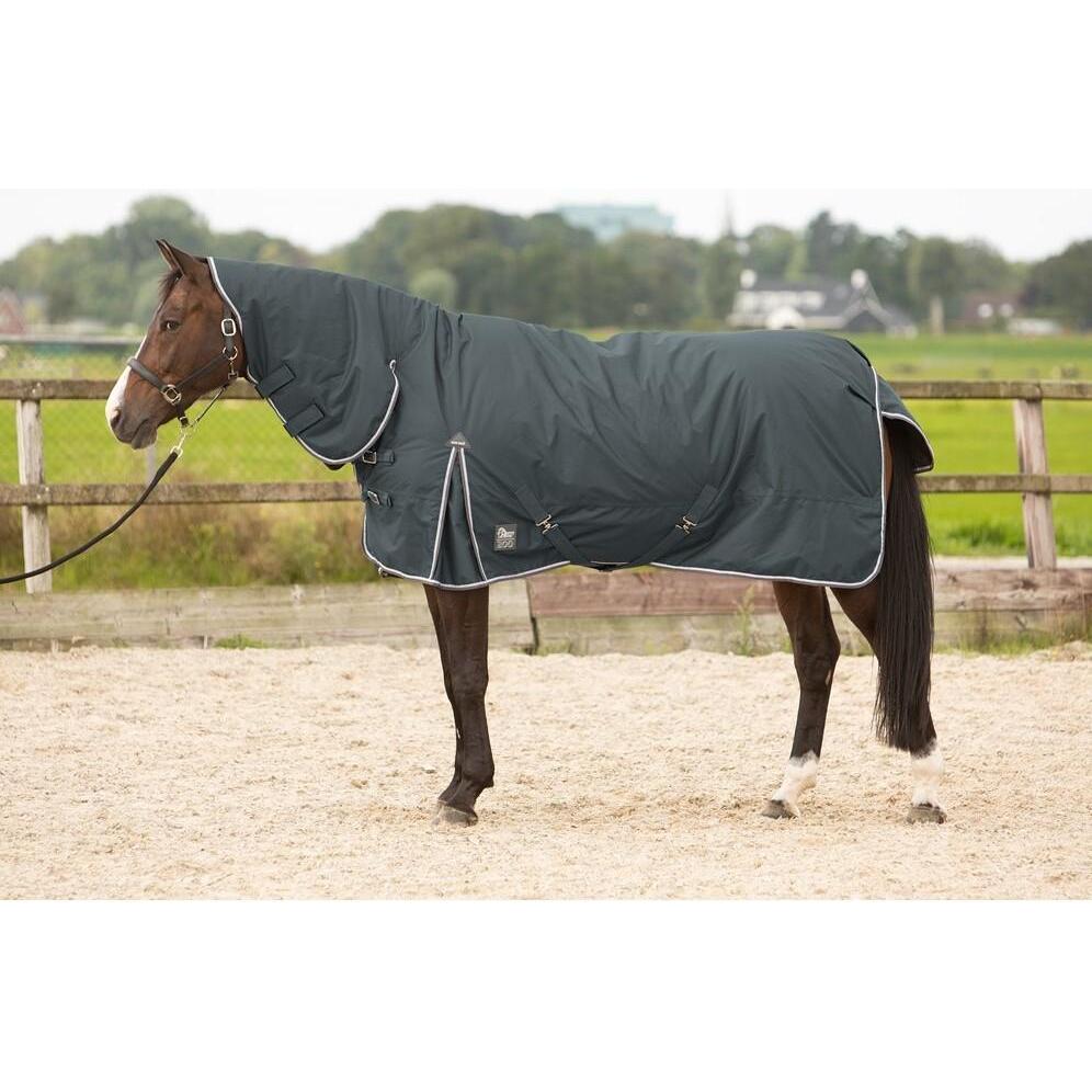 Harry's Horse, Pferdedecke, (165 cm)