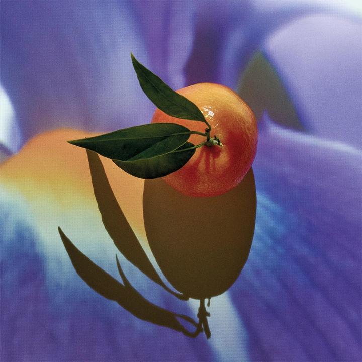 Produktbild Loewe Solo Elixir Perfume (Eau de Parfum, 100 ml)