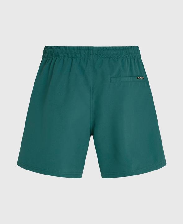 Produktbild O'Neill Beachshorts Logo (XXL)