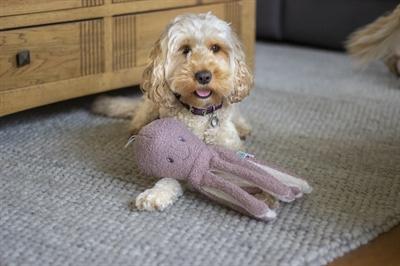 Produktbild Rosewood Tufflove Octopus (Plüschspielzeug Hund)