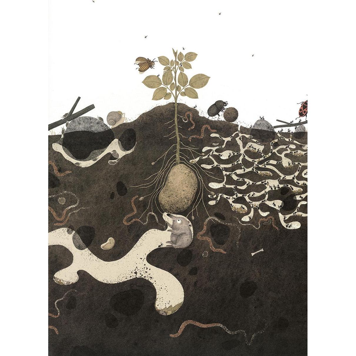 Thumbnail - Da wächst doch was!, Kinderbücher von JuLi Litkei