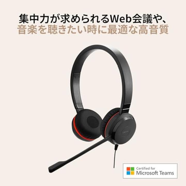 Image du produit Jabra Evolve 20 (Filaire, USB-A)