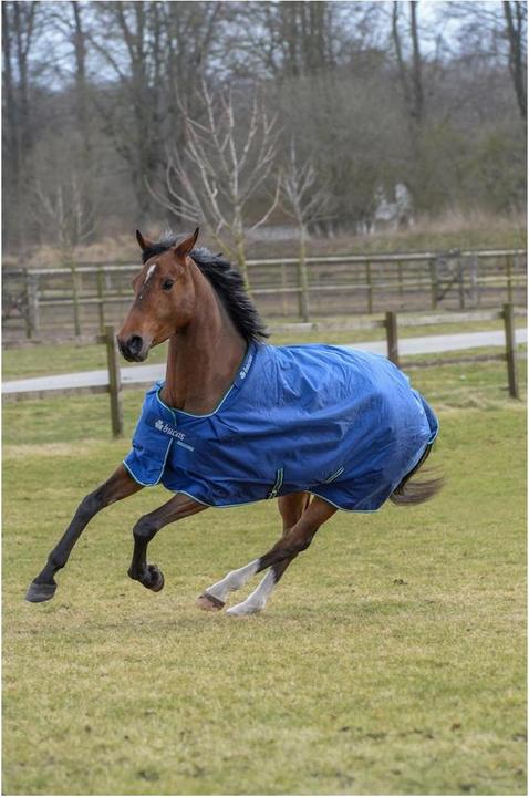 Produktbild Bucas Winterdecke Smartex Extra Classic 300g (140 cm)