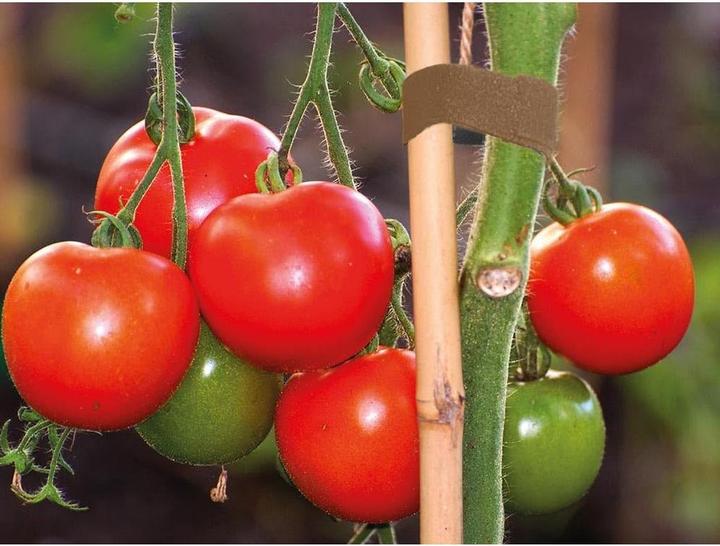 Image du produit PatchSee Boîte velcro ID-SCRATCH Dispender Box Marron clair (20 mm, 10 kg)