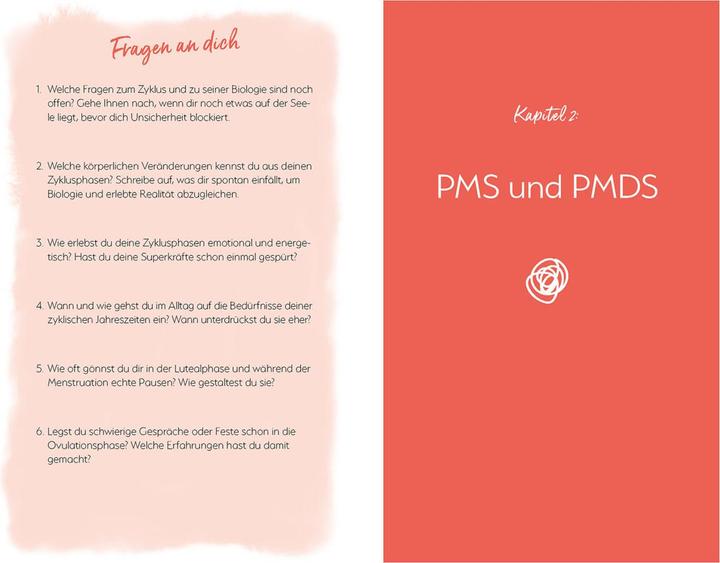 Produktbild Mein PMS und ich (Deutsch, Mirjam Wagner, 2023)