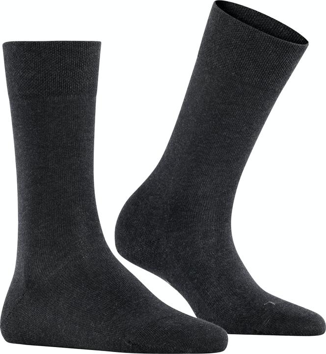anthracite