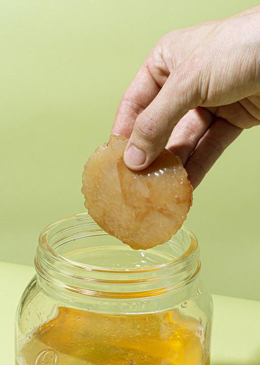 Actual product image KoRo Kombucha Scoby (1 x 20 cl)