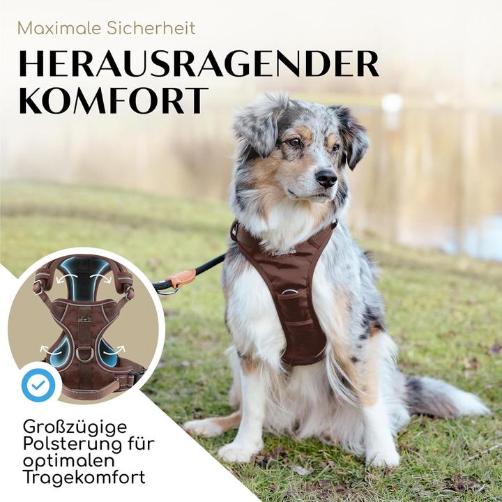 Actual product image Freudentier Hundegeschirr mit Griff, gepolstert & sicher (S, Dog)