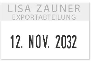 Actual product image Colop Stamp S160, 4 x 26 mm, motif: date