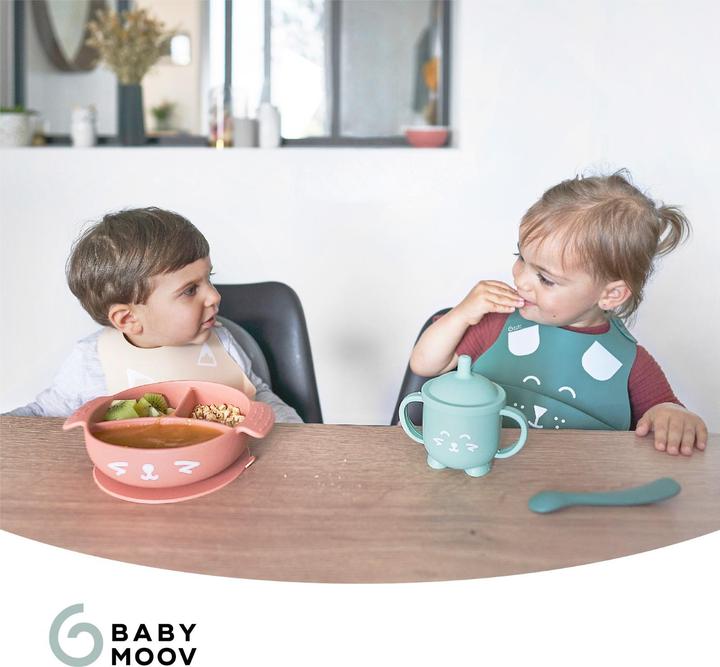 Actual product image Babymoov Learn'Isy